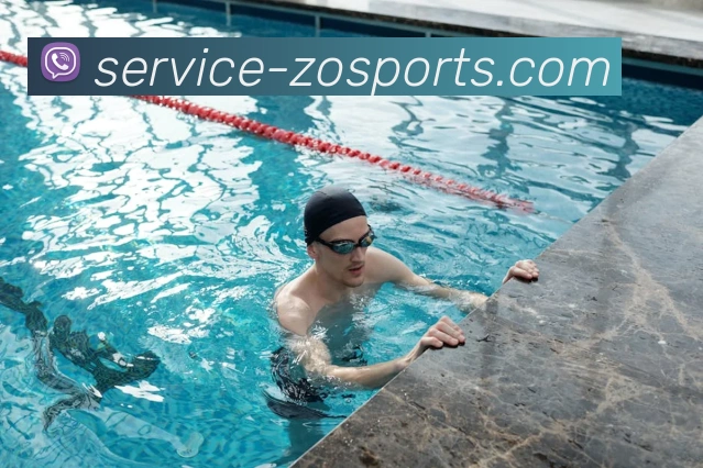 中欧体育平台生态图